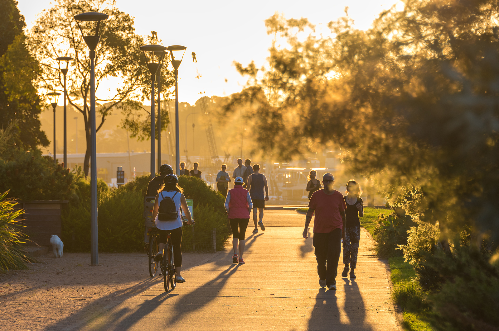 Glebe Foreshore Picnic in Bicentennial Park