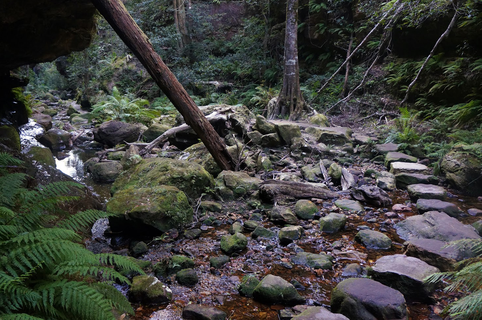 Grand Canyon Walking Track
