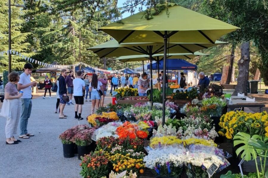 Pack a picnic at HaigPark Village markets