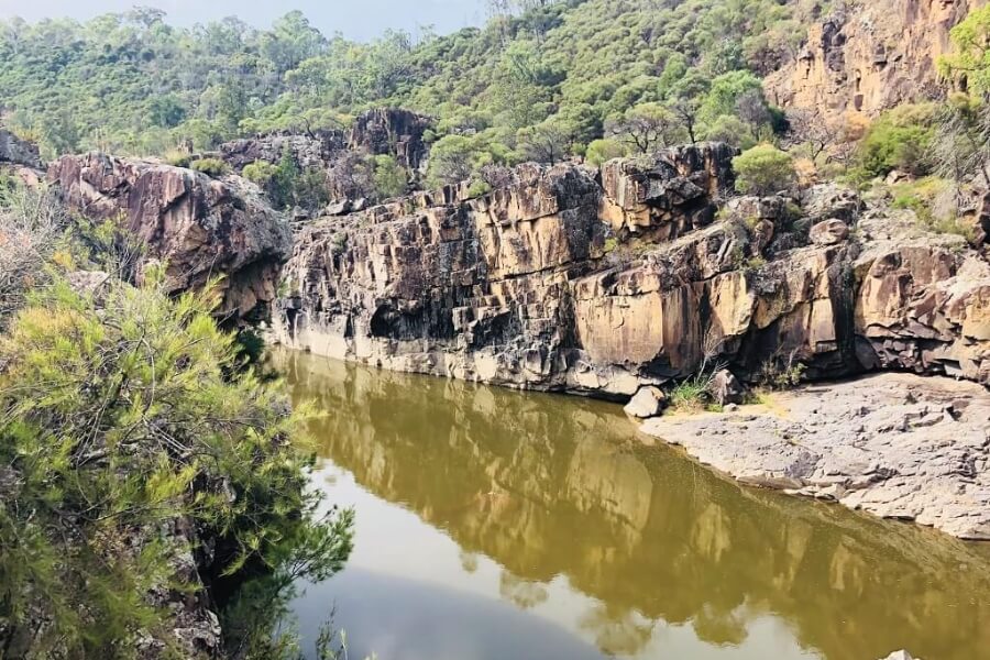 Trail and swim at PineIsland