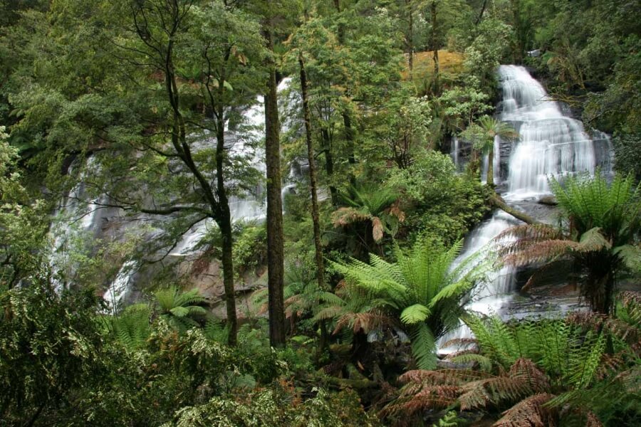 Discover Triplet Falls